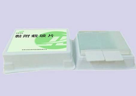 黏附载玻片